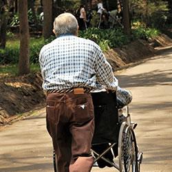 Person pushing wheelchair