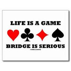 Bridge is serious!